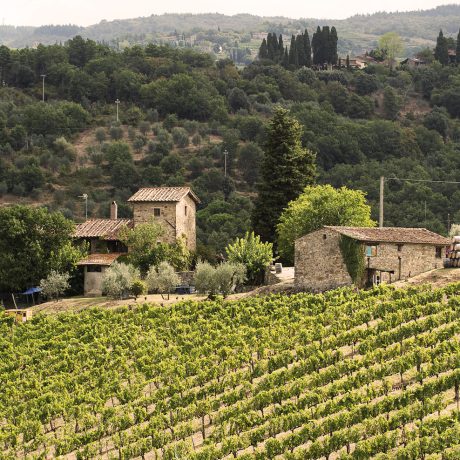 Fattoria_panoramica