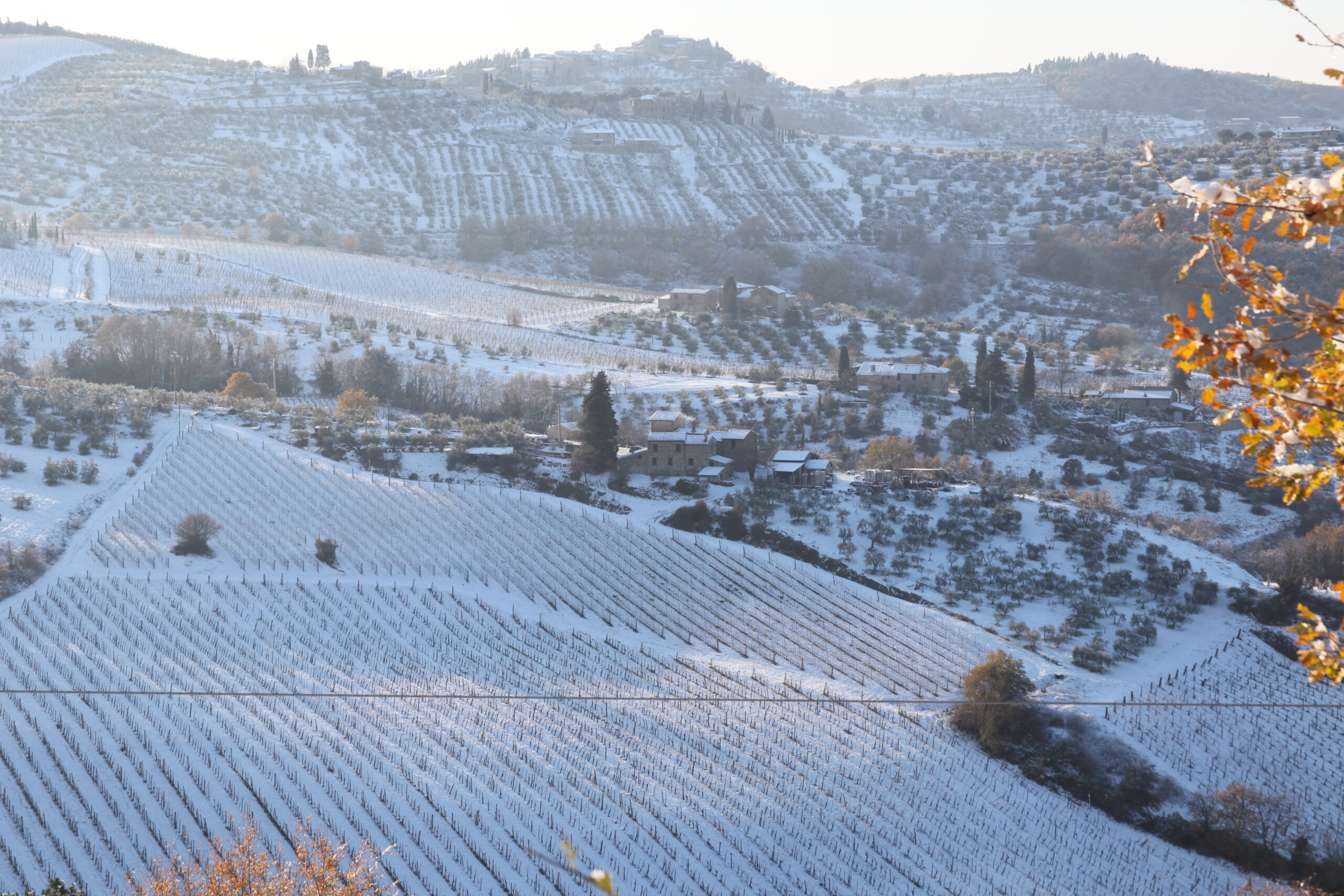 Once Upon a Time - immagine 3