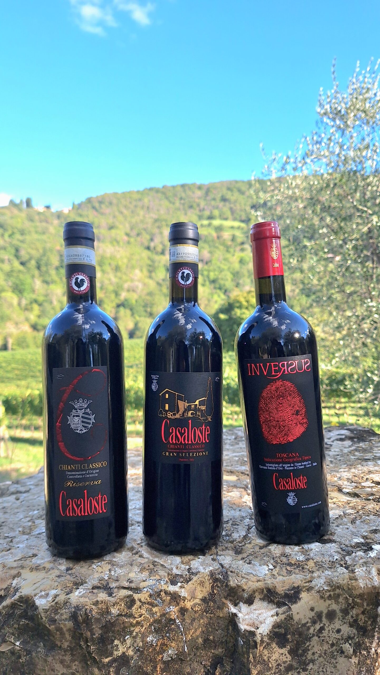 Ember Nights and Ruby Glasses