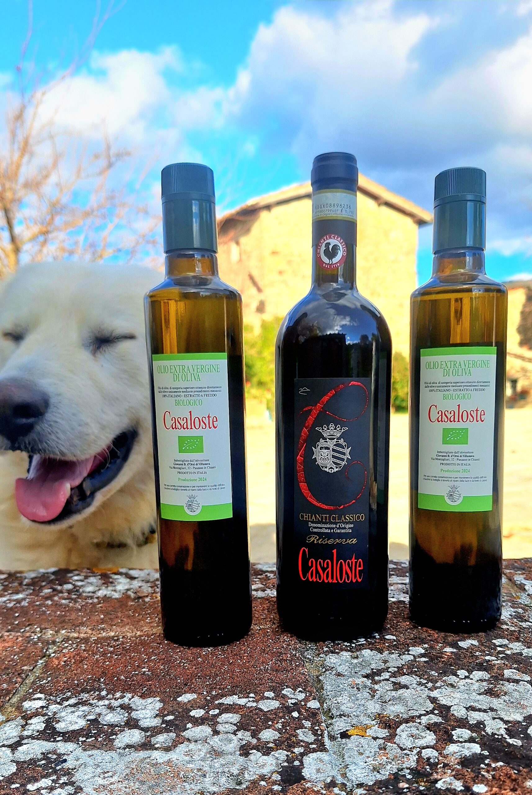 Jingle of Oil & Wine