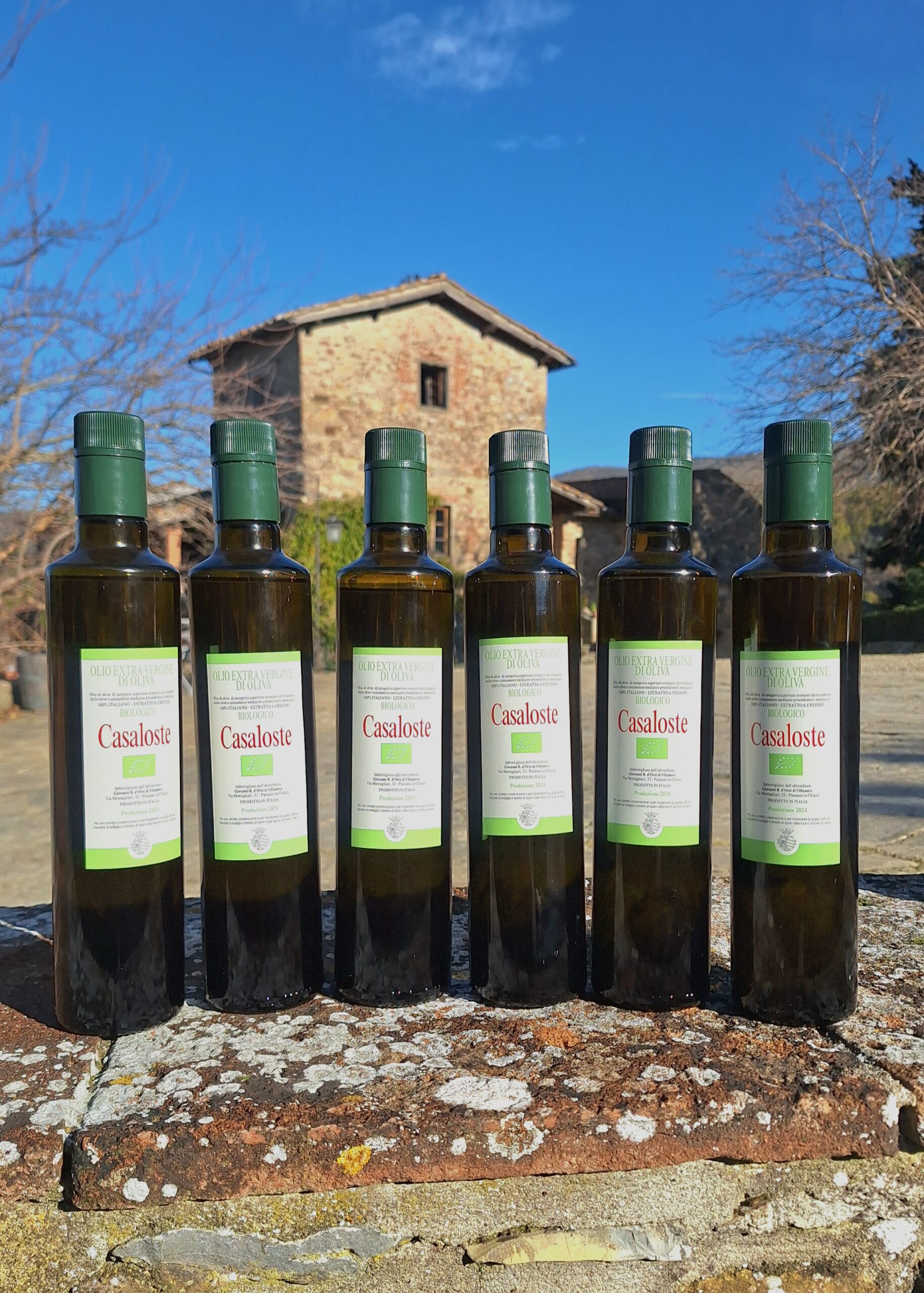 Sotto il Ramo d'Ulivo