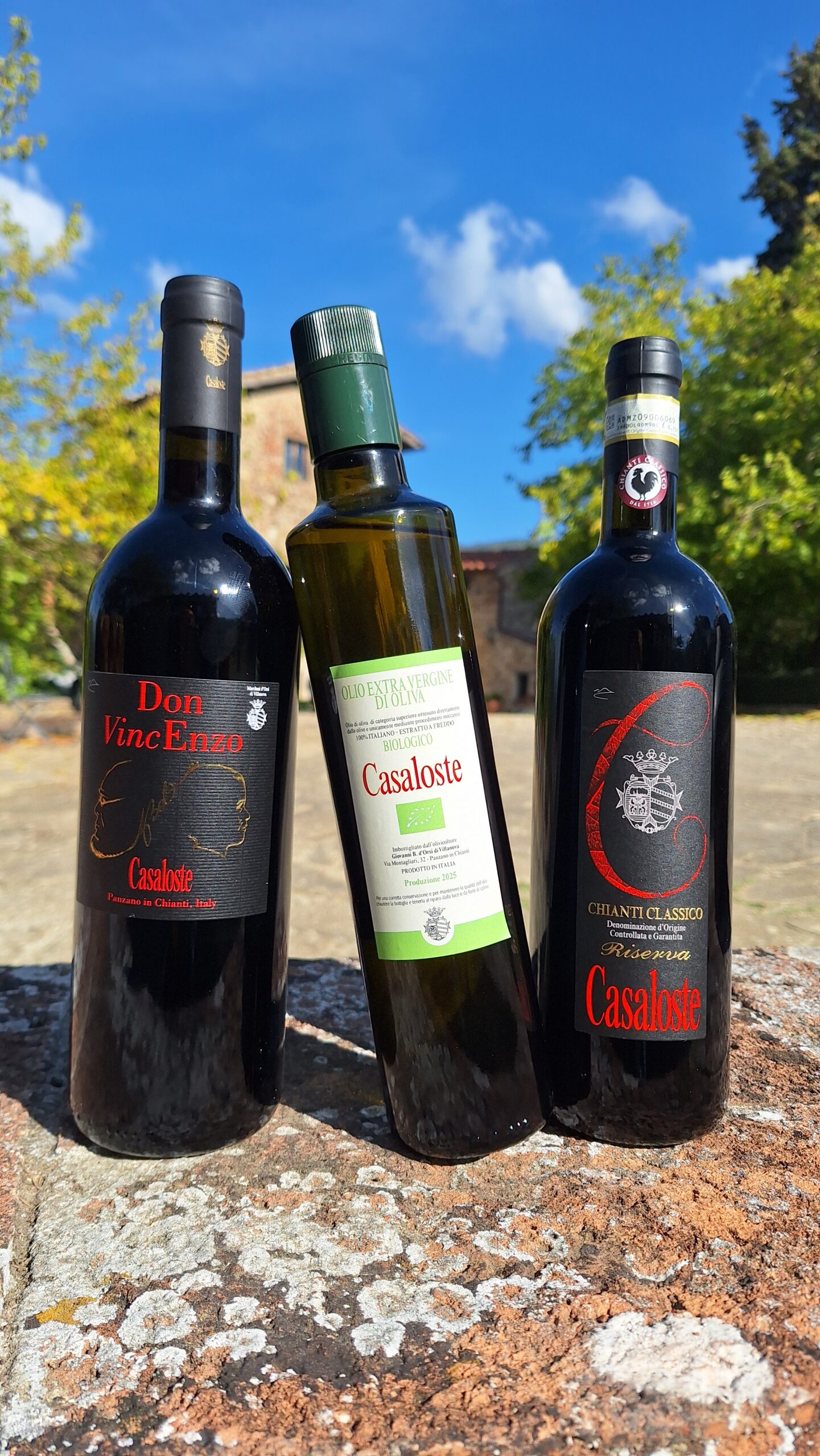 Casaloste Christmas Essentials